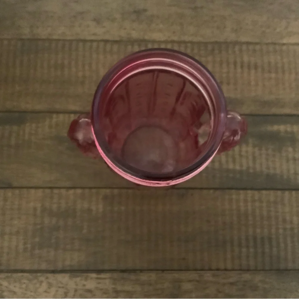 Pier 1 Imports Glass Tumbler Pink Cactus Shape Mason Jar Drinkware 16fl oz